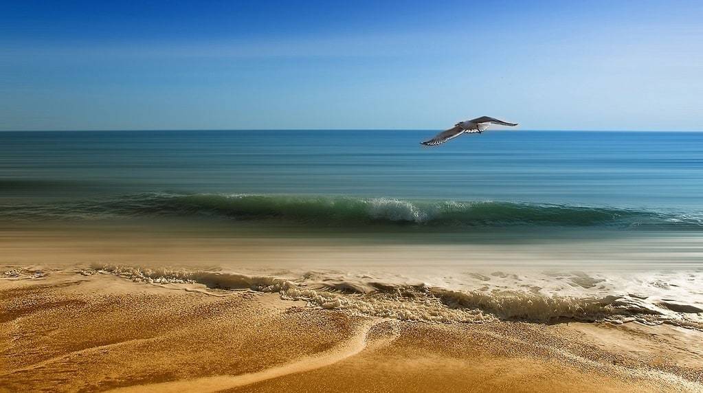 Escapades en Occitanie : entre mer et montagne